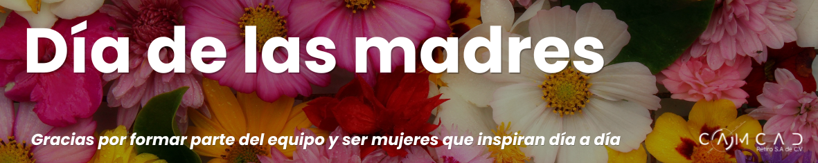 camcad lineas