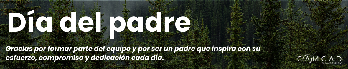 camcad lineas (1)